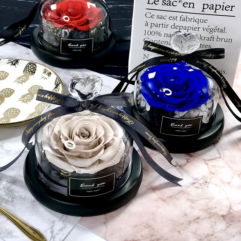 Beauty And The Beast Save Hadi - Decor Timeless Lighting ulasan dan harga