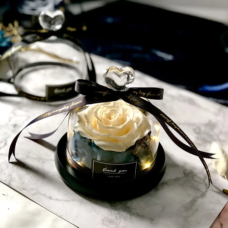 Beauty And The Beast Save Hadi - Decor Timeless Lighting ulasan dan harga